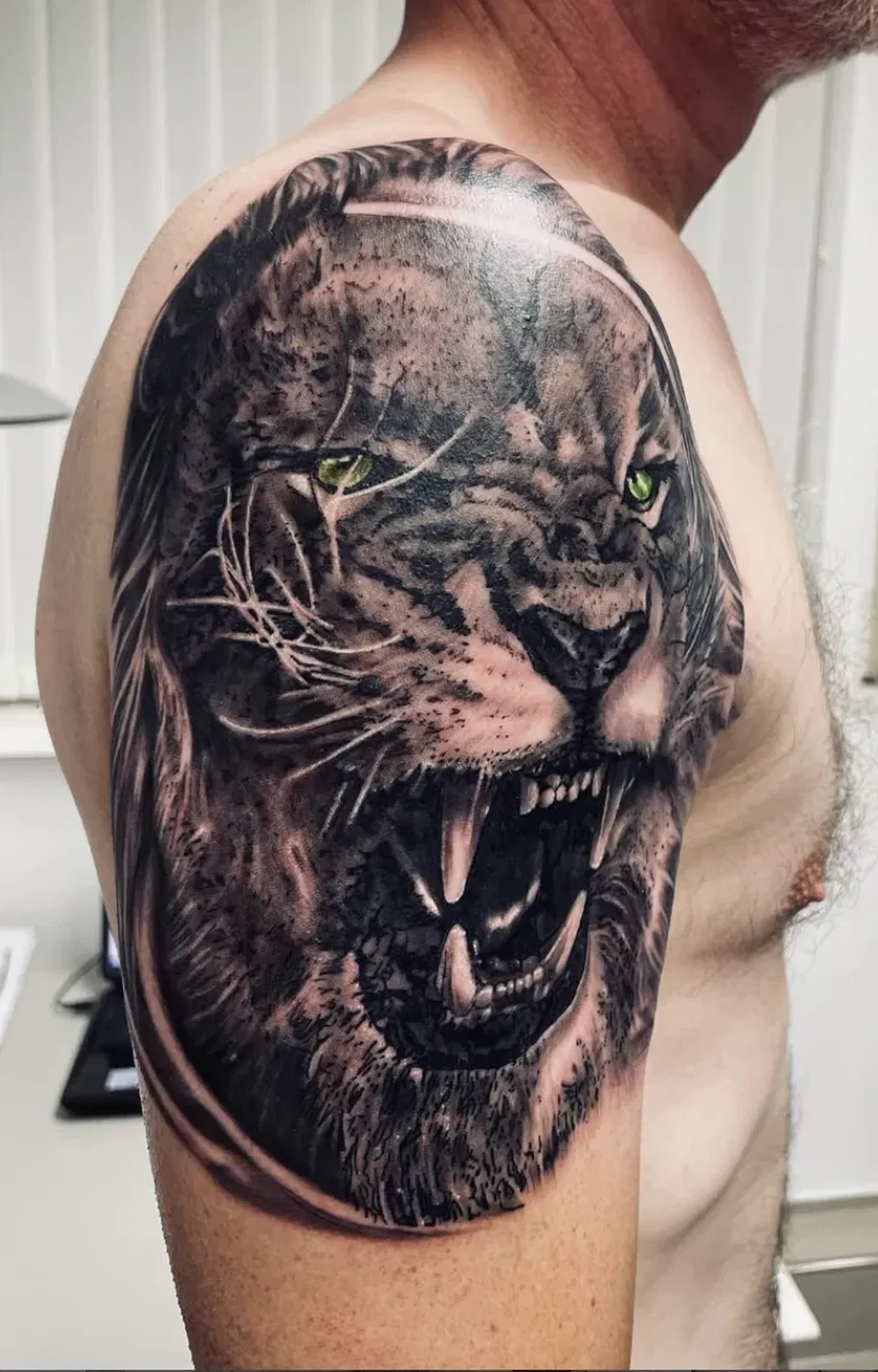 Realistisches Black-&-Grey-Tattoo eines Löwen auf der Schulter